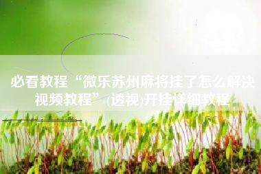 必看教程“微乐苏州麻将挂了怎么解决视频教程”(透视)开挂详细教程