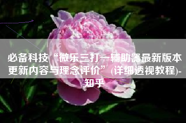 必备科技“微乐三打一辅助器最新版本更新内容与理念评价”(详细透视教程)-知乎