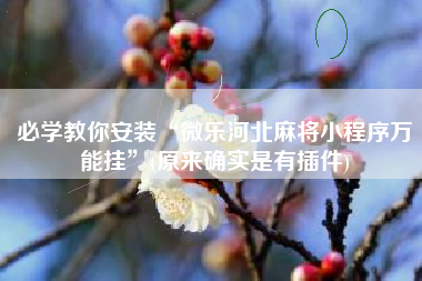 必学教你安装“微乐河北麻将小程序万能挂”(原来确实是有插件)