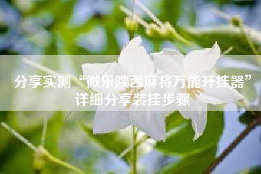 分享实测“微乐陕西麻将万能开挂器”详细分享装挂步骤