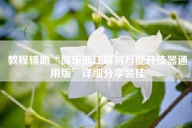 教程辅助“微乐浙江麻将万能开挂器通用版	”详细分享装挂