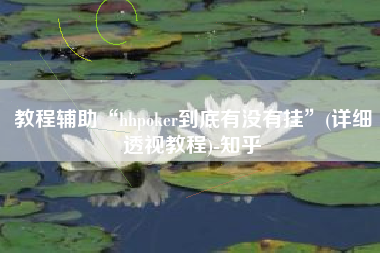 教程辅助“hhpoker到底有没有挂”(详细透视教程)-知乎