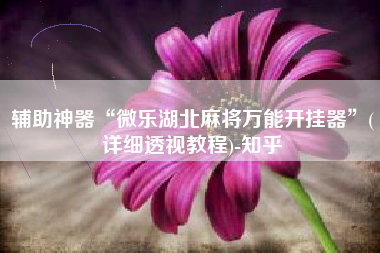 辅助神器“微乐湖北麻将万能开挂器”(详细透视教程)-知乎