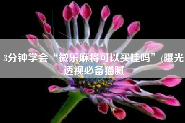 3分钟学会“微乐麻将可以买挂吗”(曝光透视必备猫腻