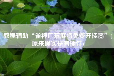 教程辅助“雀神广东麻将免费开挂器	”(原来确实是有插件)