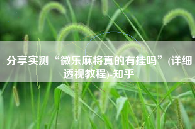 分享实测“微乐麻将真的有挂吗”(详细透视教程)-知乎