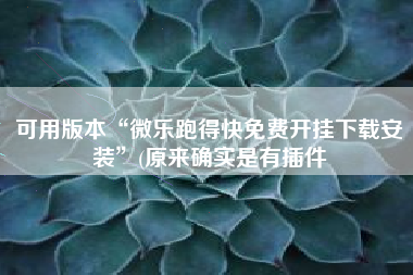 可用版本“微乐跑得快免费开挂下载安装	”(原来确实是有插件