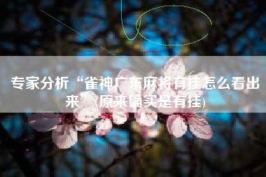 专家分析“雀神广东麻将有挂怎么看出来”(原来确实是有挂)