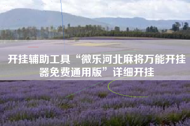 开挂辅助工具“微乐河北麻将万能开挂器免费通用版”详细开挂