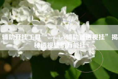 辅助开挂工具“wepoker辅助器透视挂”揭秘透视辅助万能挂