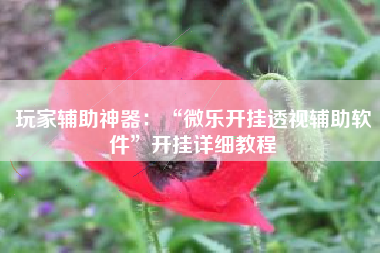 玩家辅助神器：“微乐开挂透视辅助软件	”开挂详细教程