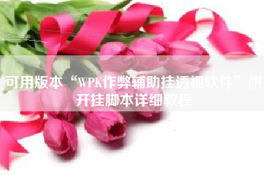 可用版本“WPK作弊辅助挂透视软件”附开挂脚本详细教程