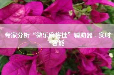 专家分析“微乐麻将挂”辅助器 - 实时智能
