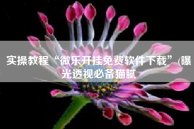 实操教程“微乐开挂免费软件下载	”(曝光透视必备猫腻