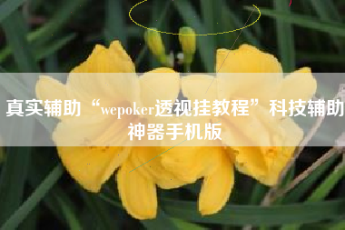 真实辅助“wepoker透视挂教程”科技辅助神器手机版