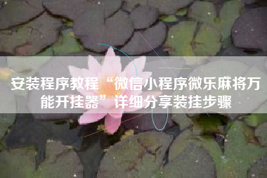 安装程序教程“微信小程序微乐麻将万能开挂器	”详细分享装挂步骤