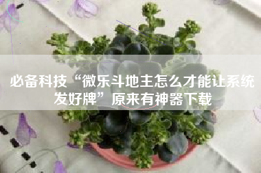 必备科技“微乐斗地主怎么才能让系统发好牌”原来有神器下载