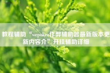 教程辅助“wepoker作弊辅助器最新版本更新内容介”开挂辅助详细