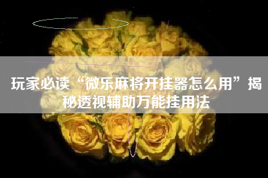 玩家必读“微乐麻将开挂器怎么用”揭秘透视辅助万能挂用法