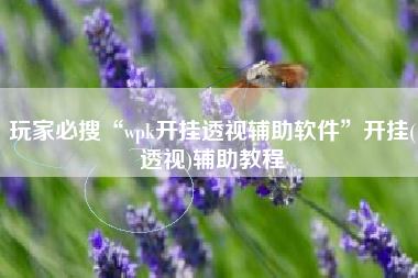 玩家必搜“wpk开挂透视辅助软件”开挂(透视)辅助教程