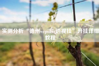 实测分析“德州wepoker透视挂	”开挂详细教程