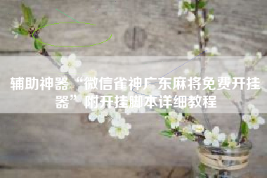 辅助神器“微信雀神广东麻将免费开挂器”附开挂脚本详细教程