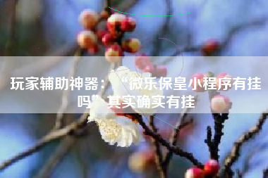 玩家辅助神器：“微乐保皇小程序有挂吗	”其实确实有挂