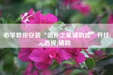 必学教你安装“德扑之星辅助器”开挂(透视)辅助