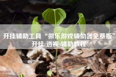 开挂辅助工具“微乐游戏辅助器免费版”开挂(透视)辅助教程