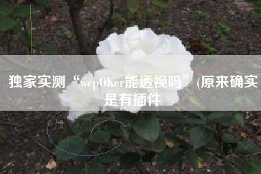 独家实测“wepOKer能透视吗	”(原来确实是有插件
