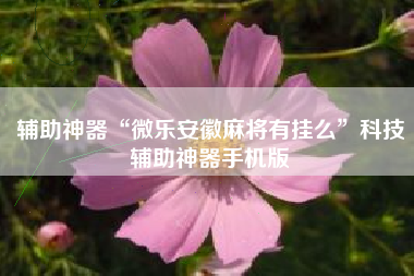 辅助神器“微乐安徽麻将有挂么	”科技辅助神器手机版