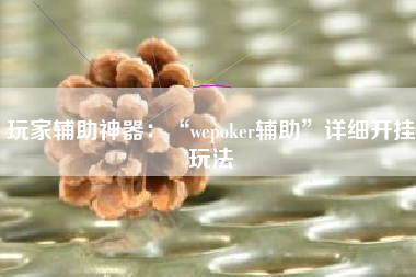玩家辅助神器：“wepoker辅助”详细开挂玩法