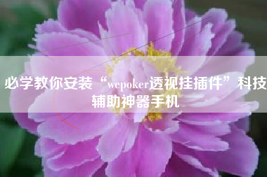 必学教你安装“wepoker透视挂插件	”科技辅助神器手机