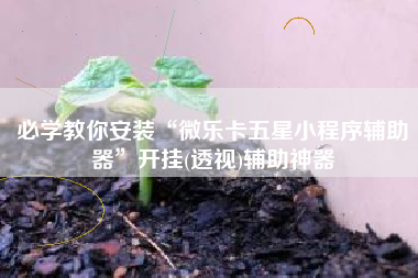 必学教你安装“微乐卡五星小程序辅助器	”开挂(透视)辅助神器