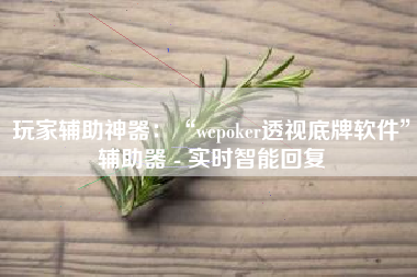 玩家辅助神器：“wepoker透视底牌软件	”辅助器 - 实时智能回复