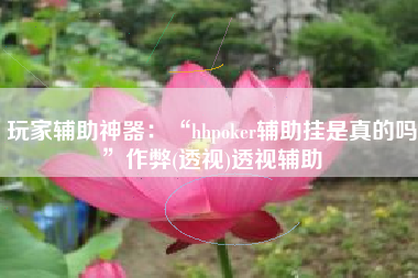 玩家辅助神器：“hhpoker辅助挂是真的吗”作弊(透视)透视辅助