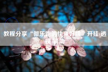 教程分享“微乐跑的快来好牌”开挂(透视)辅助