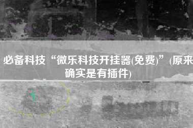 必备科技“微乐科技开挂器(免费)”(原来确实是有插件)