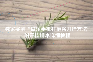 独家实测“微乐手机打麻将开挂方法	”附开挂脚本详细教程