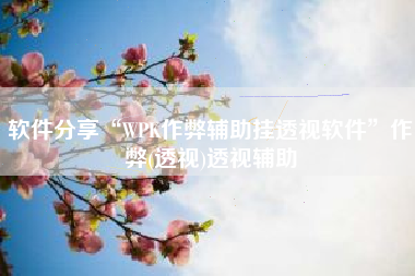 软件分享“WPK作弊辅助挂透视软件	”作弊(透视)透视辅助