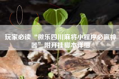 玩家必读“微乐四川麻将小程序必赢神器	”附开挂脚本详细