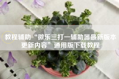 教程辅助“微乐三打一辅助器最新版本更新内容	”通用版下载教程