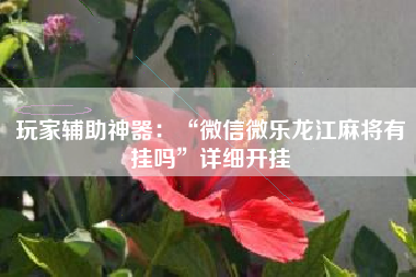 玩家辅助神器：“微信微乐龙江麻将有挂吗”详细开挂