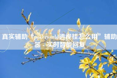真实辅助“pokerworld透视挂怎么用”辅助器 - 实时智能回复
