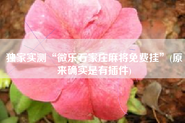 独家实测“微乐石家庄麻将免费挂”(原来确实是有插件)