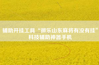 辅助开挂工具“微乐山东麻将有没有挂”科技辅助神器手机