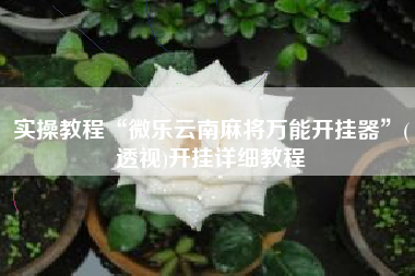 实操教程“微乐云南麻将万能开挂器”(透视)开挂详细教程