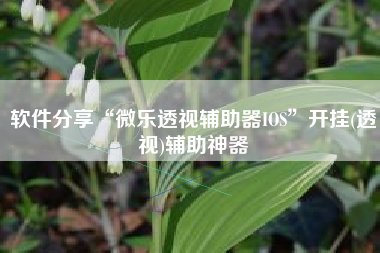 软件分享“微乐透视辅助器IOS”开挂(透视)辅助神器