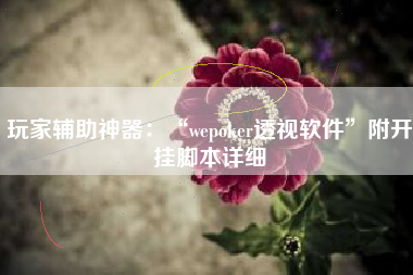 玩家辅助神器：“wepoker透视软件”附开挂脚本详细
