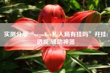 实测分享“wepoKer私人局有挂吗”开挂(透视)辅助神器